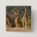 Search for herds badges Nature