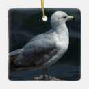 Search for seagull christmas tree decorations Animal
