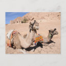 Search for desert animals postcards Souvenir