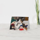 Search for cat snowman cards Kitty