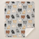 Search for pomeranian blankets Cute