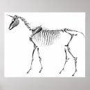 Search for fable of art Unicorn