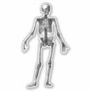 Search for human bone stickers Skeleton