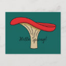 Search for mushroom postcards Magic