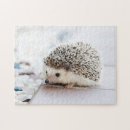 Search for hedgehog puzzles Wild