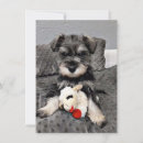 Search for schnauzer thank you cards Cute