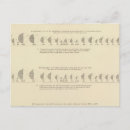 Search for lithographic postcards White