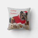 Search for yorkshire terrier cushions Puppies