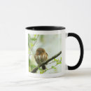 Search for collared mugs Close up