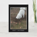 Search for excavation cards Digging