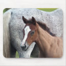 Search for foal mousepads Mare