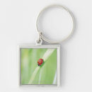 Search for crawl key rings Nature
