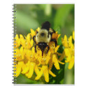 Search for bee weed Nature photography