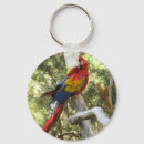 Search for red parrot key rings Parrots