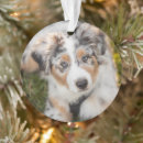 Search for domestic christmas tree decorations Puppy