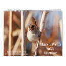 Search for marshes Birds