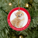 Search for adoption christmas tree decorations Cat
