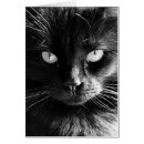 Search for whisker Face