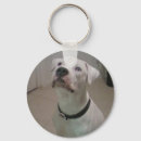 Search for bully dog key rings Puppy