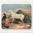 Search for stallionness electronics Arabian