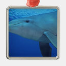 Search for bottlenosed dolphin christmas tree decorations Sea