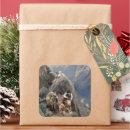 Search for apache stickers Geronimo