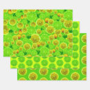 Search for citrus fruit wrapping paper Lime green