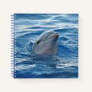 Search for dolphin notebooks Water