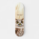 Search for white owl Nature
