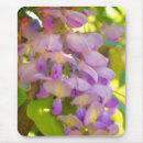 Search for wisteria mousepads Nature