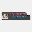 Search for puppymill Dogs