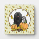 Search for funny best friend plaques Dog