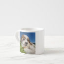 Search for shitzu mugs Pets