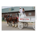 Search for draught horses Equine