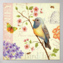 Search for birds bees posters Animals