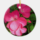 Search for geranium christmas tree decorations Pink