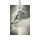 Search for black and white cat car accessories Pet