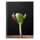 Search for apple notebooks Nature