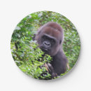 Search for gorilla paper plates Birthday