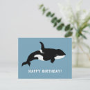 Search for orca killer whale cards Whales