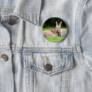 Search for cottontail badges Springtime