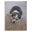 Search for corgi notebooks Queen's dog