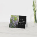 Search for scented cards Lavender