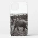 Search for grey elephant iphone cases Nature