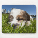 Search for eye closed mousepads Nature