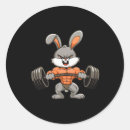 Search for hustle for that muscle stickers Gym transformation