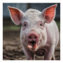 Search for sows art Pig