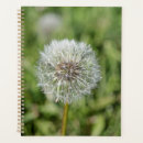 Search for flora office supplies Blossom
