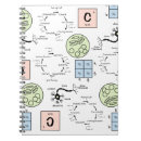 Search for cell cycle Science