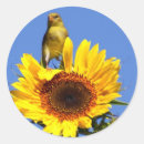 Search for goldfinch stickers Yellow